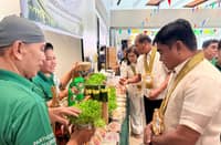 NIA CALABARZON Regional Director Roberto Dela Cruz examines farmers’ products during the EPAHP exhibit at Rizal Coliseum in Calamba City, Laguna, on 29 October 2026. The event featured fresh produce and local food products from 39 irrigators’ associations across the region.
