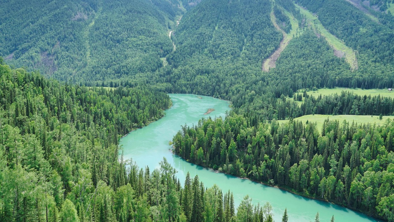 Restored nature hits record 252-M hectares