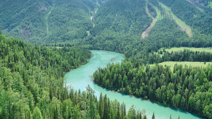 Restored nature hits record 252-M hectares