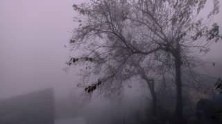 Baguio's haunting tales live on beyond Halloween