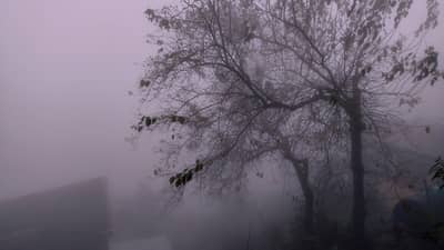Baguio's haunting tales live on beyond Halloween