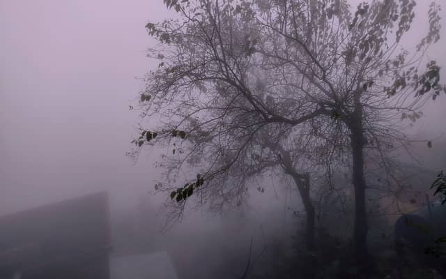 Baguio's haunting tales live on beyond Halloween