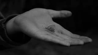 Some loss doesn't turn into butterflies