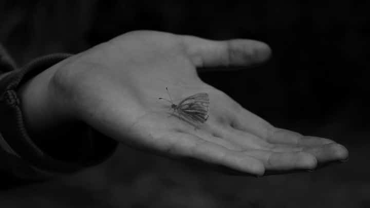 Some loss doesn't turn into butterflies