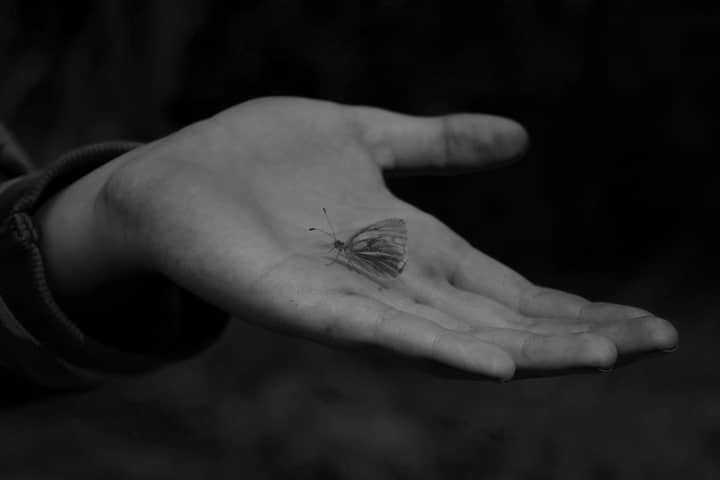 Some loss doesn't turn into butterflies