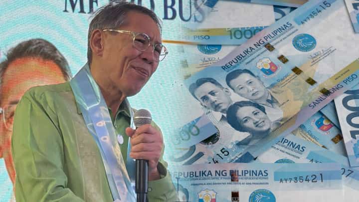Propping peso needs concrete plan — Diokno