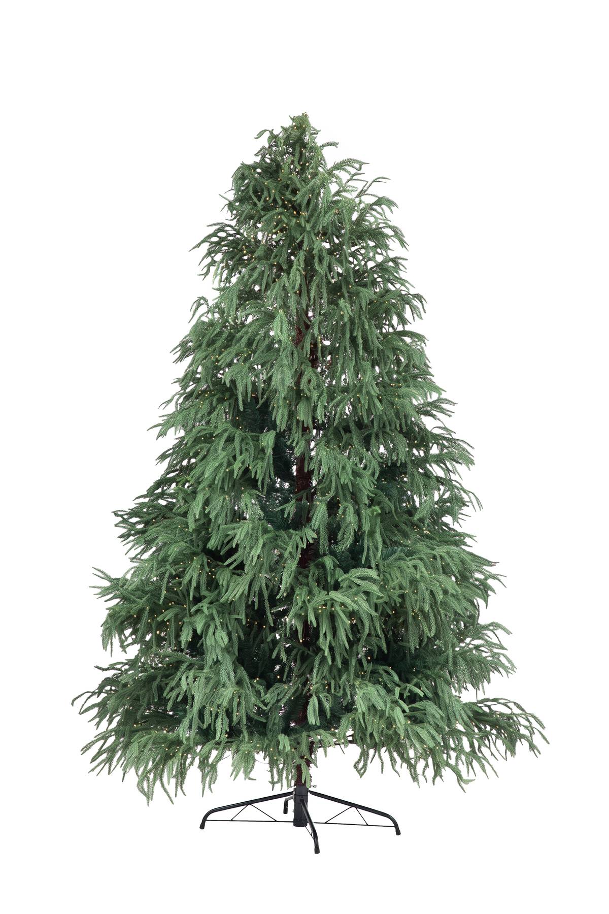 FEATHERY branches and warm lights bring festive charm.
