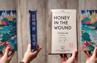 'HONEY in the Wound’ by Jiyoung Han.
