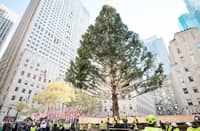 THE Rockefeller Center Christmas Tree is arriving in New York City and the Manhattan landmark is holding a Meet the Tree Day on 7 November to welcome it and kick off the holiday season. Meet the Tree Day is free and open to the public, with entry on a first-come, first-served basis though guaranteed and expedited entry is offered by purchasing a Meet the Tree + Top of the Rock ticket.