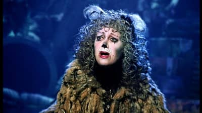JELLICLE FEVER