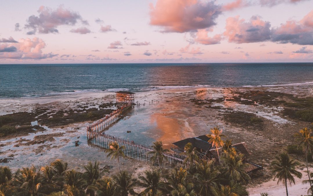 World Surf League gets under way