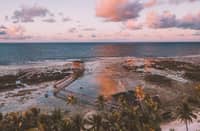World Surf League gets under way