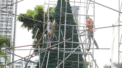 Camp Crame Christmas tree