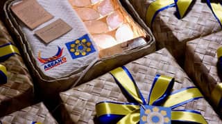 DOE settles ASEAN supplier dues, disputes delay claims