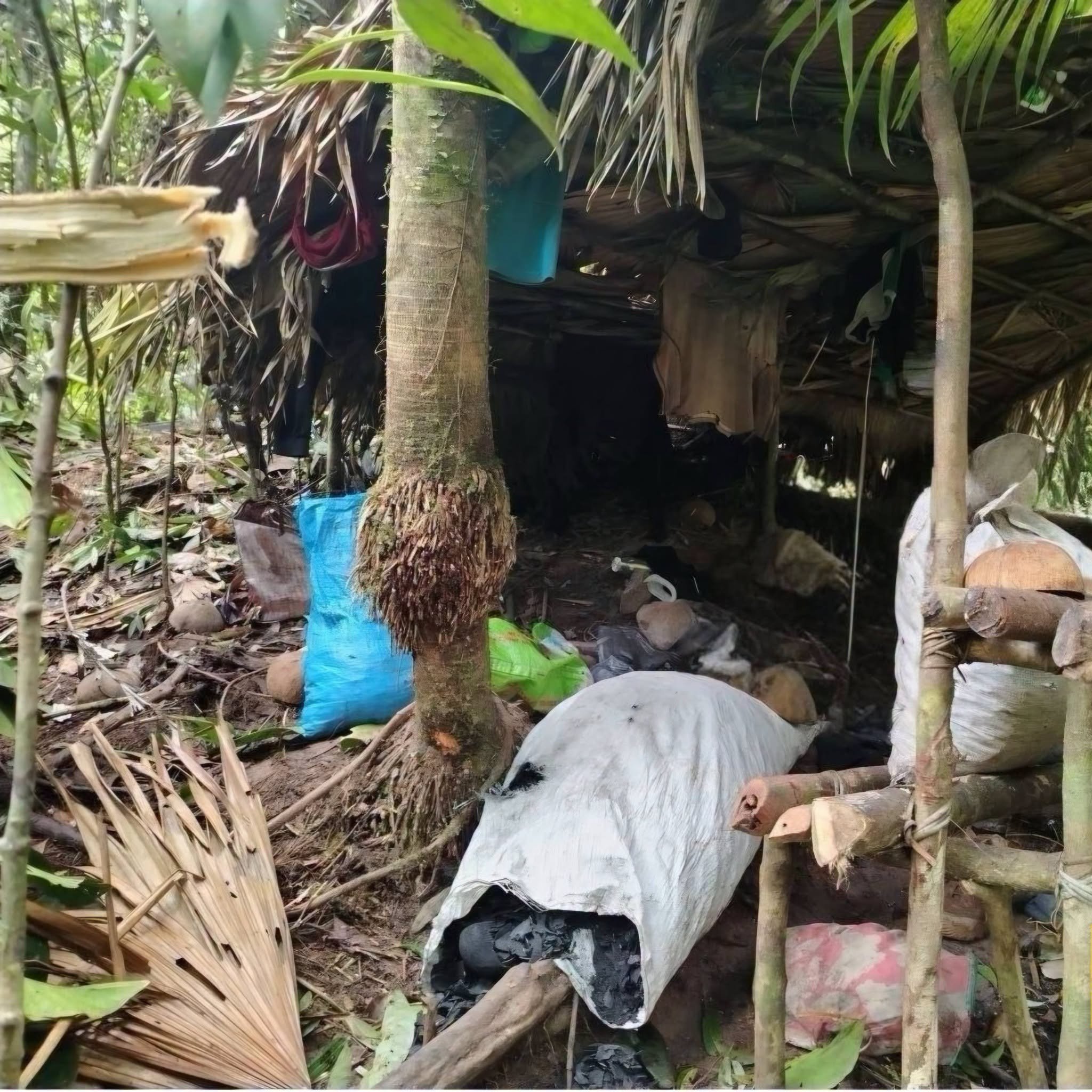 Two NPA members killed in clash