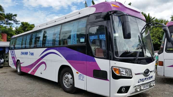 Bus operator vows uninterrupted service