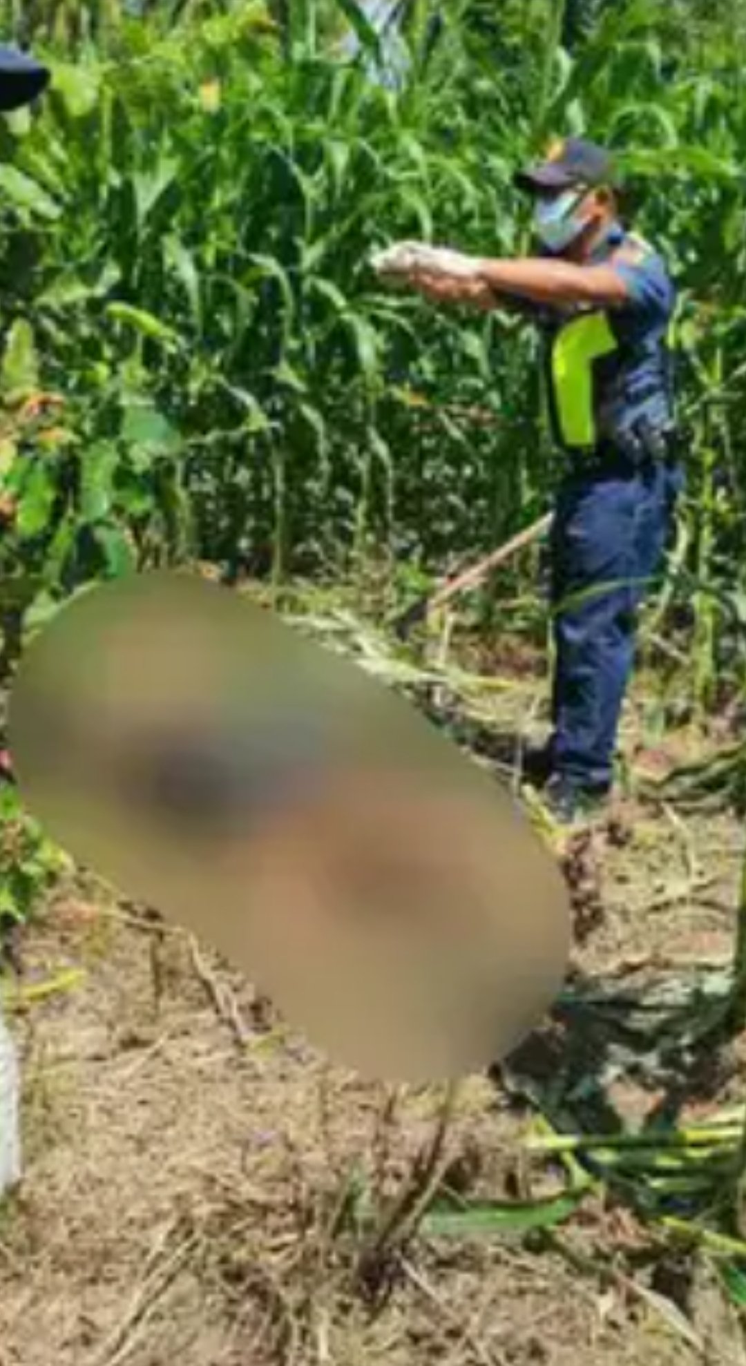 Missing rice trader found dead in Mindoro