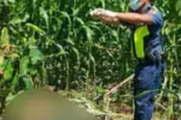 Missing rice trader found dead in Mindoro
