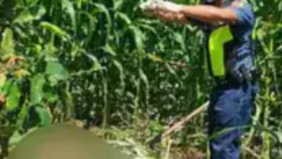 Missing rice trader found dead in Mindoro