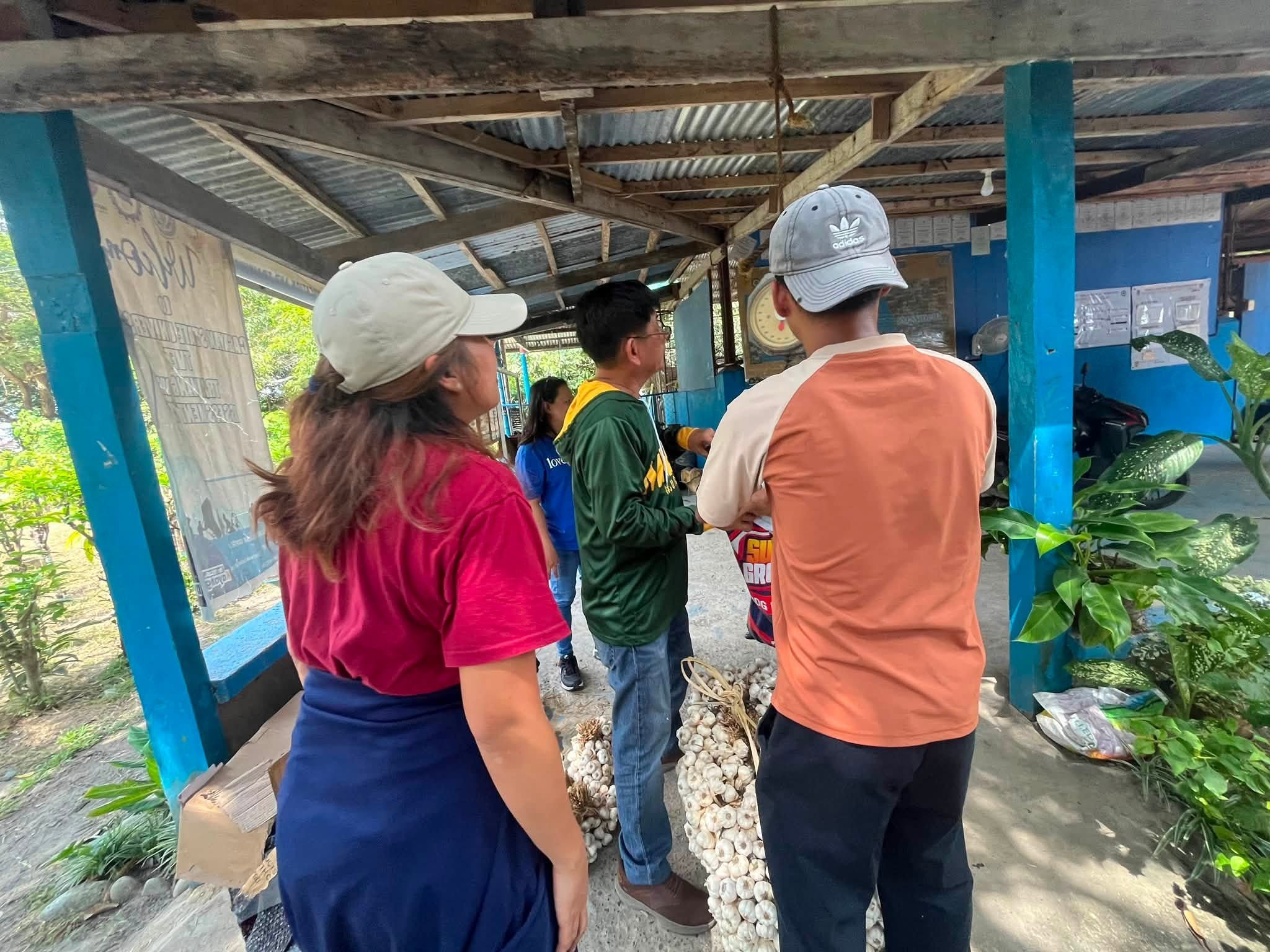 MMSU expands improved garlic farming technology in Northern Luzon