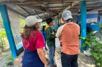 MMSU expands improved garlic farming technology in Northern Luzon
