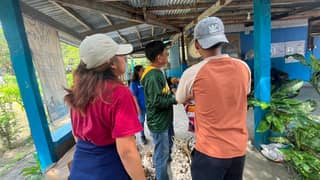 MMSU expands improved garlic farming technology in Northern Luzon