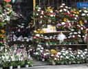 FLOWERS FOR THE DEPARTED