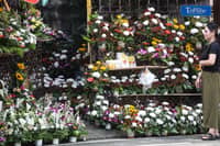 FLOWERS FOR THE DEPARTED