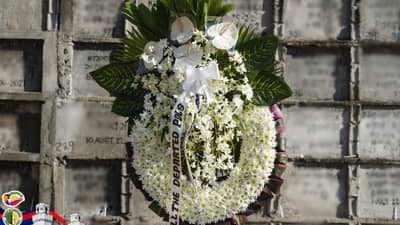 PDLs remember the departed virtually