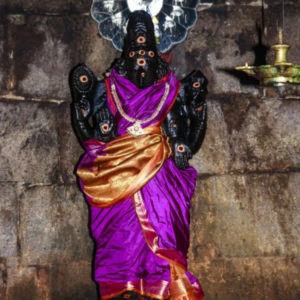 காமரசவல்லி சௌந்தரேஸ்வரருக்கு `கார்க்கோடகன்’ என்று பெயர் வந்தது ஏன் தெரியுமா?