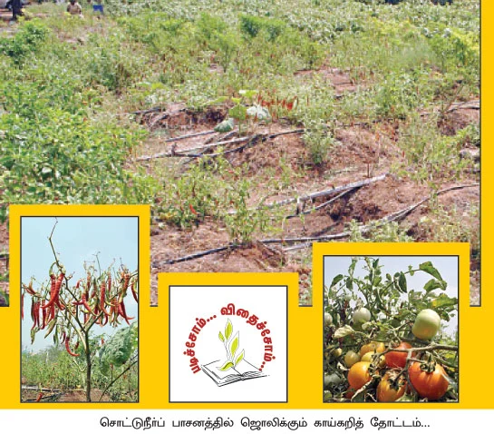 அன்று, தொழிலதிபர்... இன்று இயற்கை விவசாயி !