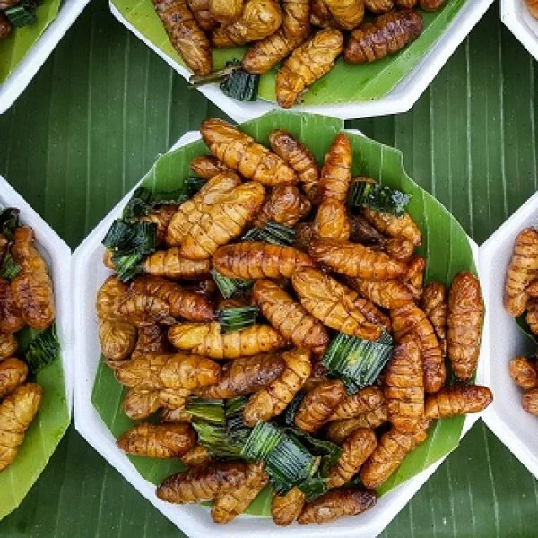 மண்புழு ப்ரை, வெட்டுக்கிளி 65... ருசிக்கத் தயாராகுங்கள் மக்களே! #EatInsects #FutureOfFood