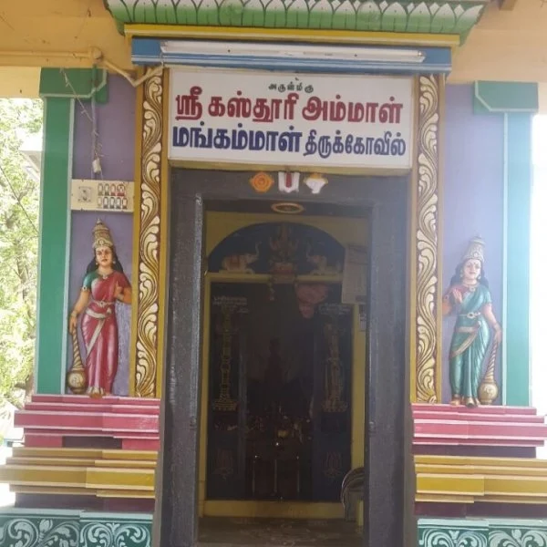 5 கிடா வெட்டி குலதெய்வம் கோயிலில் பூஜை செய்த தனுஷ்.!