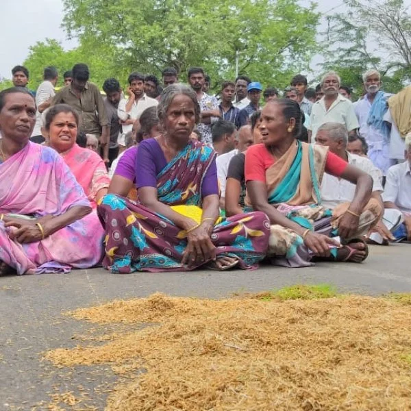 `கொள்முதலும் செய்யல; அறுவடையும் செய்ய முடியல!' - அமைச்சர் துரைக்கண்ணு தொகுதியில் அவலம்