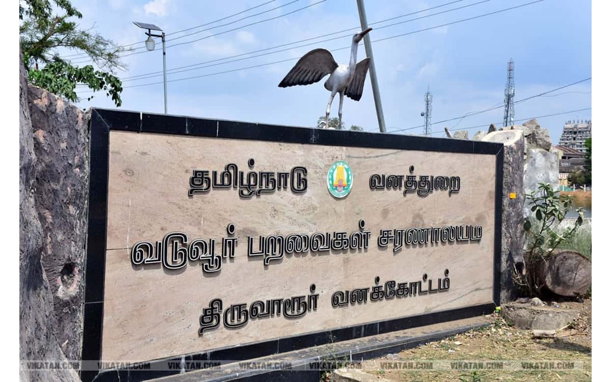 Image result for வடுவூர்... பறவைகள் சரணாலயம்...!!