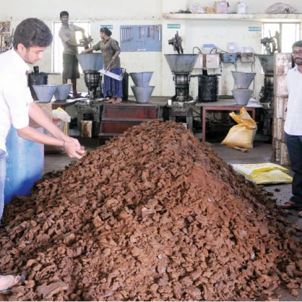 கொஞ்சம் ப்ளஸ்... நிறைய லாபம்! - இனிப்பான லாபம் தரும் வேப்ப மரம்!
