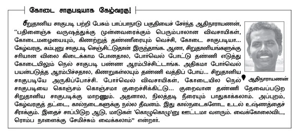 எரு... விதைப்பு... தண்ணீர்... அறுவடை..!