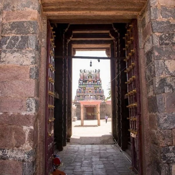 செவ்வாய் தோஷம் நீக்கி, திருமண வரமருளும் வாழை வழிபாடு ... திருப்பைஞ்ஞீலியில் நடக்கும் பரிகாரம் !
