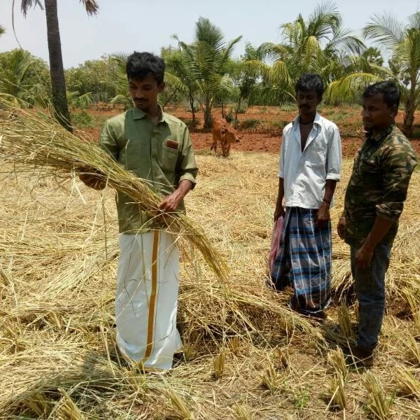 ”எங்க அமைப்பின் பெயர் டாஸ்மாக்..!” - வேலையை உதறி விவசாயத்தில் சாதித்த இளைஞர்கள்