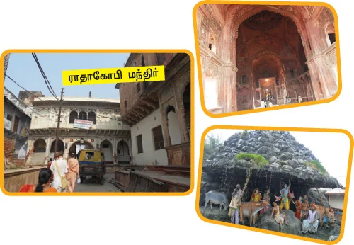 பிருந்தாவனம் முதல்... பிரயாகை வரை!