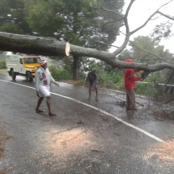 தொடர்ந்து மிரட்டும் மழை... ஸ்தம்பித்தது நீலகிரி..!