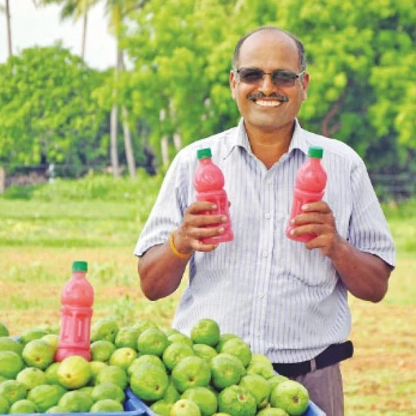 சிங்கப்பூர் செல்லும் பழனி கொய்யா... மதிப்புகூட்டலில் மகத்தான லாபம்!