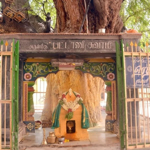 பட்டாணி ராவுத்தர் காவல்காக்கும் ஆதிகோரக்கநாதர்... திருபுவனத்தில் கோயில்கொண்ட சித்த புருஷர்!
