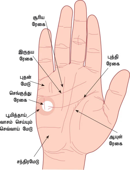 ரேகை