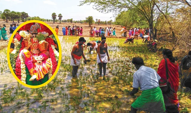 ஆடி - கேட்டை அற்புத நடவு விழா!