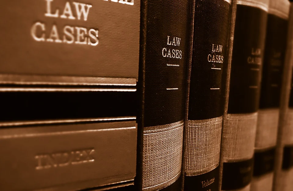 Legal Issues in Stalking C