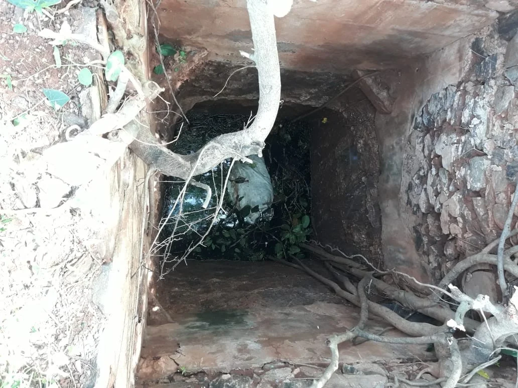 Dead body