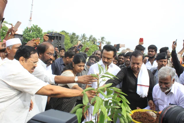 திமுக தலைவர் ஸ்டாலின் அஞ்சலி செலுத்திய பின்பு மரம் நட்டார்