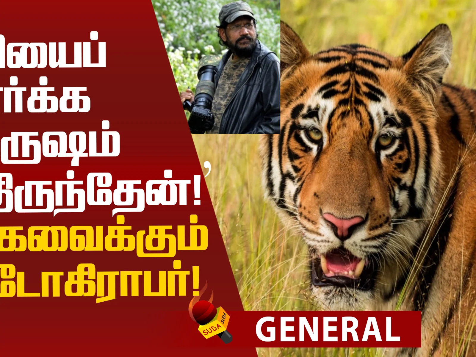 Interesting Story of the 70-year-old wildlife photographer K.G. Mohankumar!