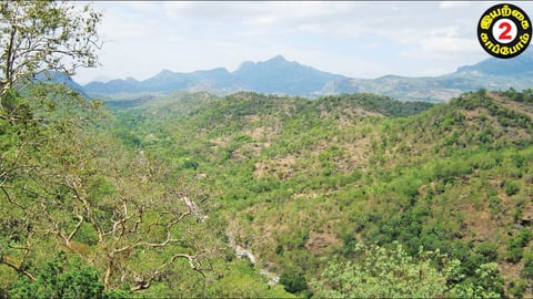 இயற்கை காப்போம்